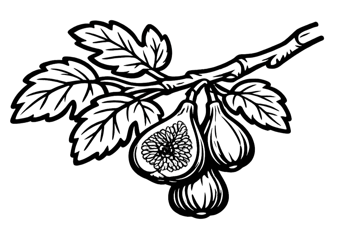 Premium Plan Fig Tree Icon