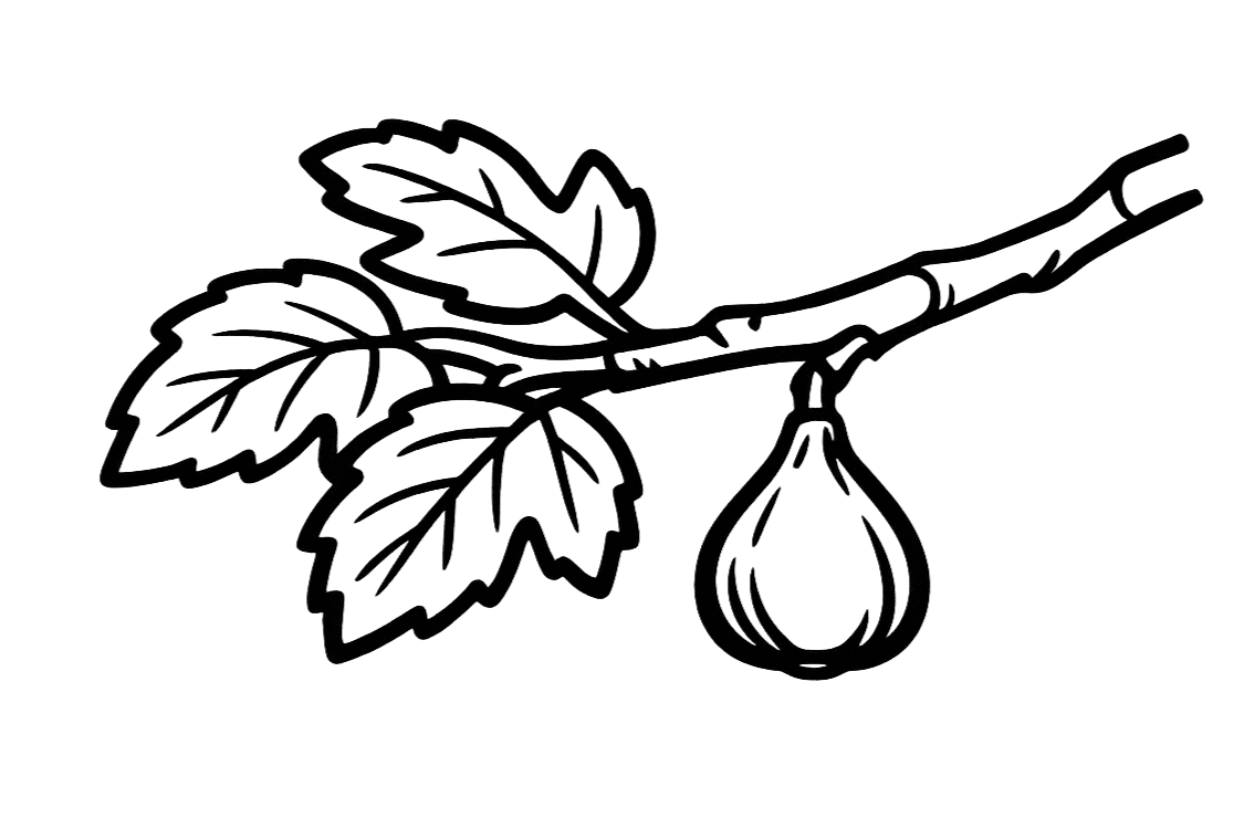 Signature Plan Fig Tree Icon